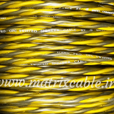 کابل اسپیکر حرفه ای